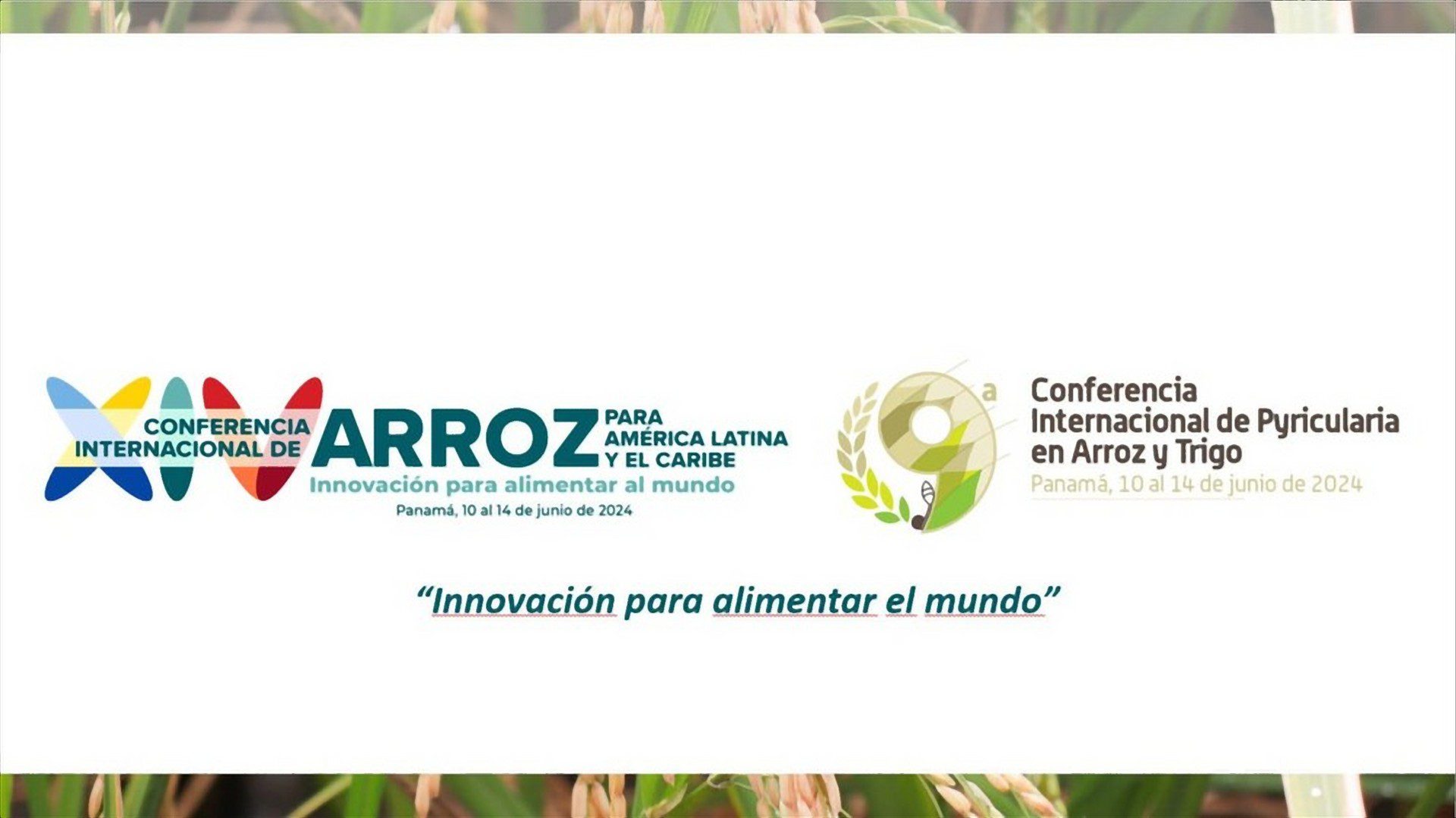 XIV Conferencia Internacional de Arroz